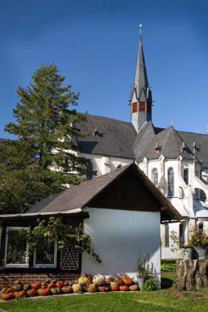 Blick aus dem Mönchgarten zur Abteikirche